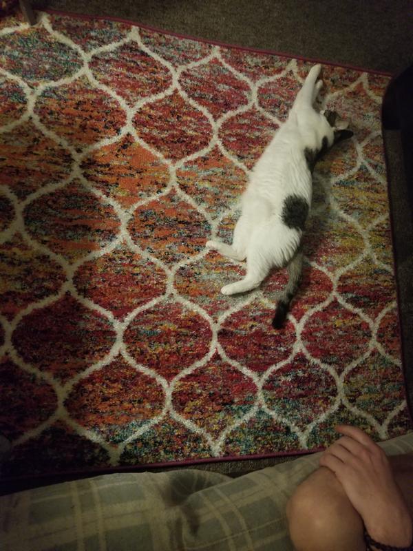 Customer photo for review titled "Lattice frieze rug"