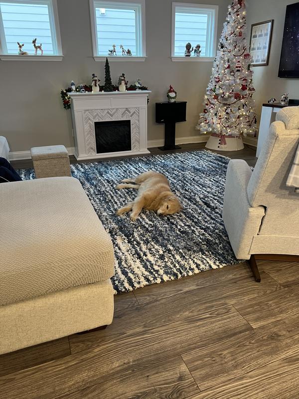 Customer photo for review titled "This rug is perfect!"