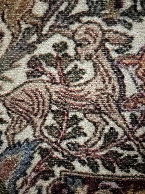 Customer photo for review titled "Weird rug"