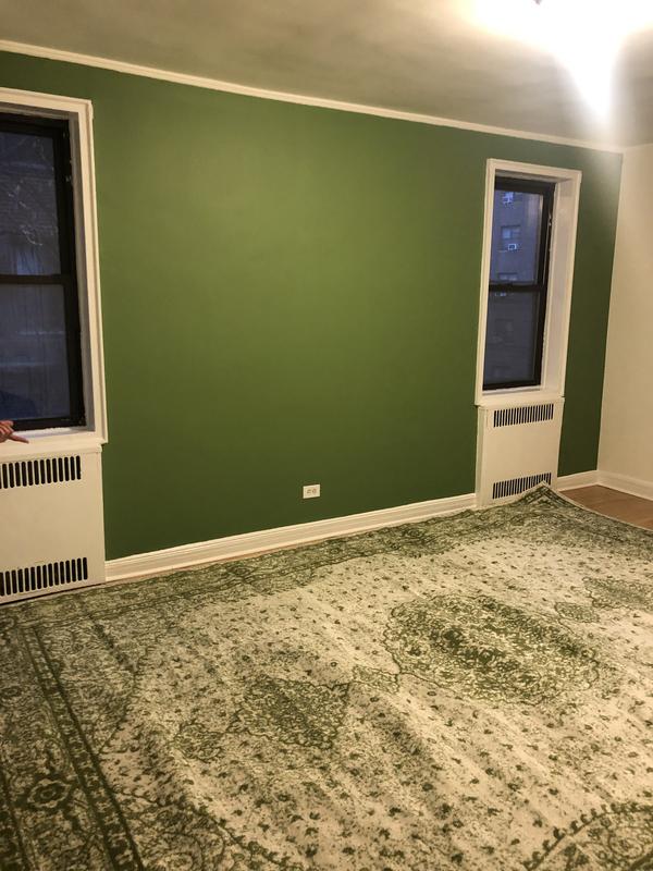 Customer photo for review titled "Great decorative rug"