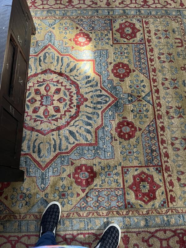 Customer photo for review titled "Love this rug!"