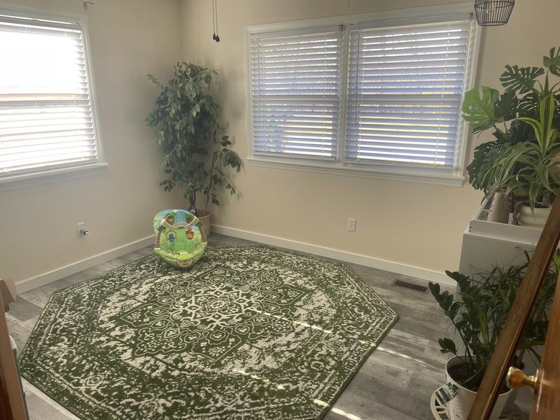 Customer photo for review titled "Great Rug"
