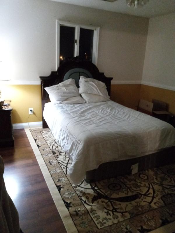 Customer photo for review titled "Neda Rug"