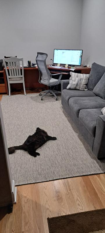 Customer photo for review titled "Nice indoor/outdoor rug"