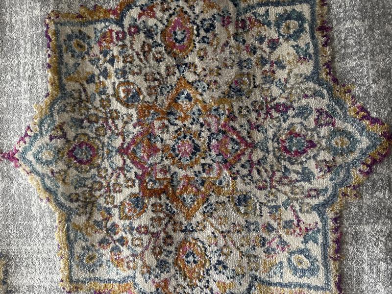 Customer photo for review titled "Colorful Budapest rug"