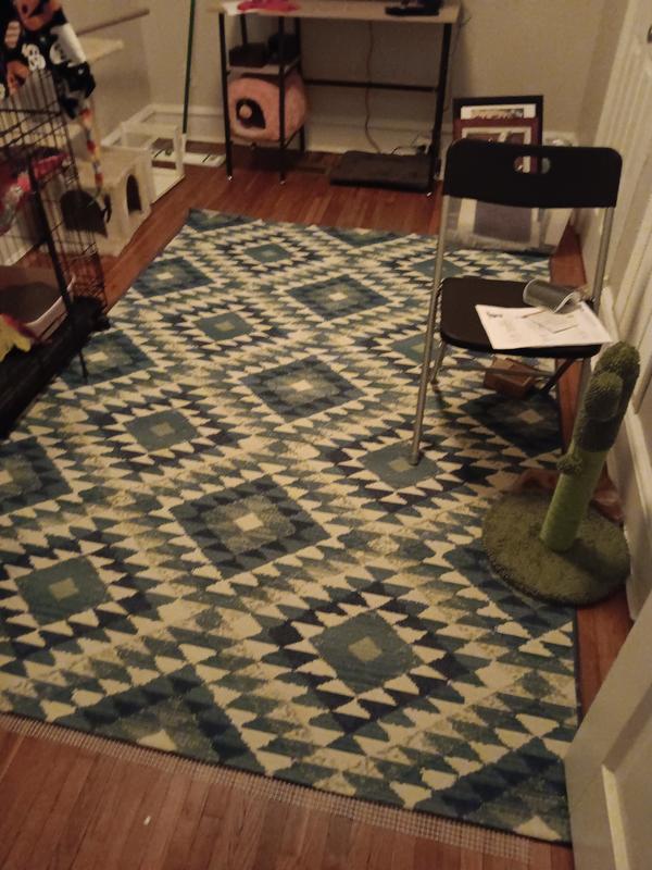 Customer photo for review titled "Great Rug And Price"