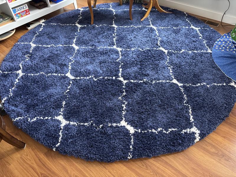 Customer photo for review titled "Good rug"