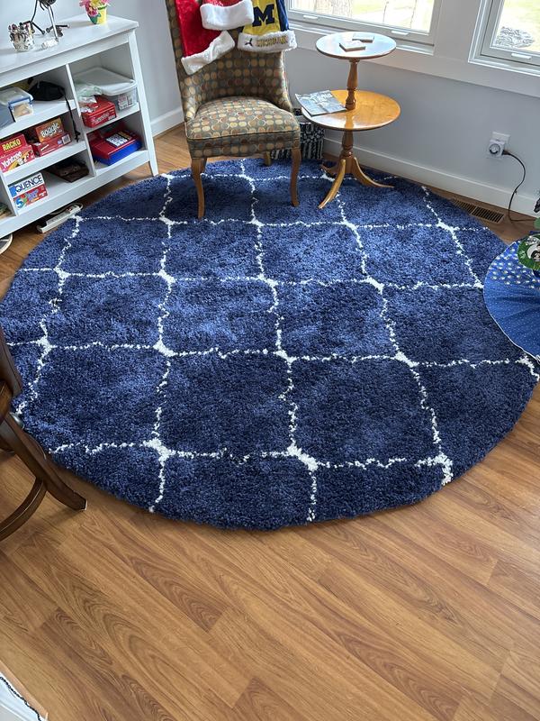 Customer photo for review titled "Good rug"