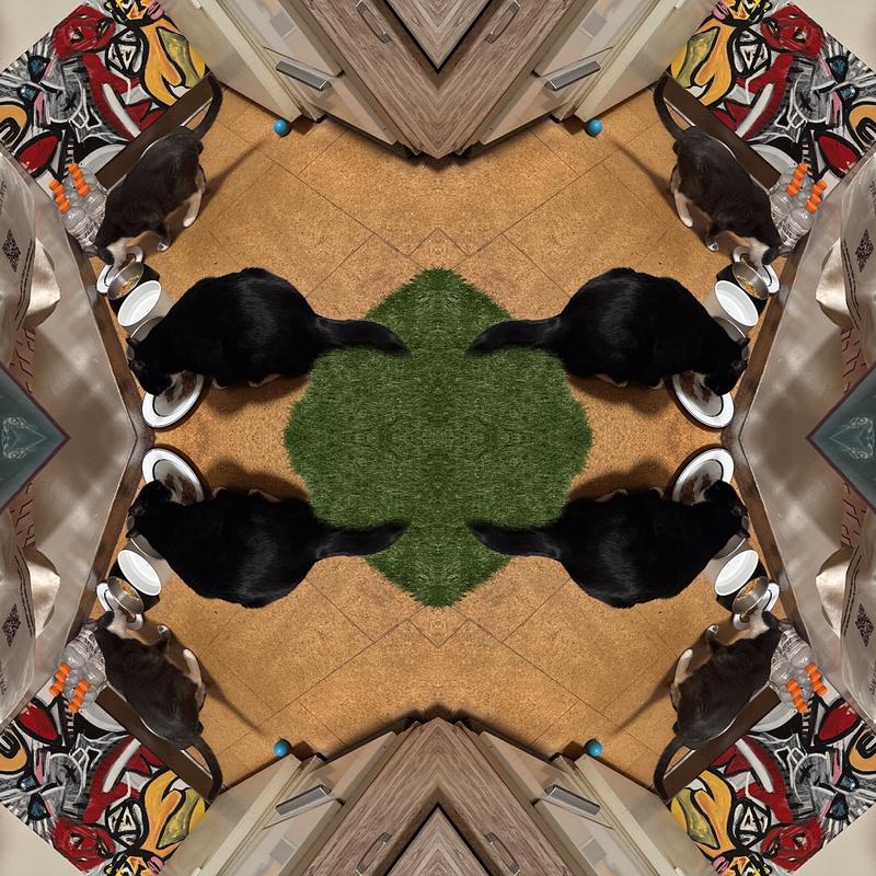 Customer photo for review titled "Good deal!"