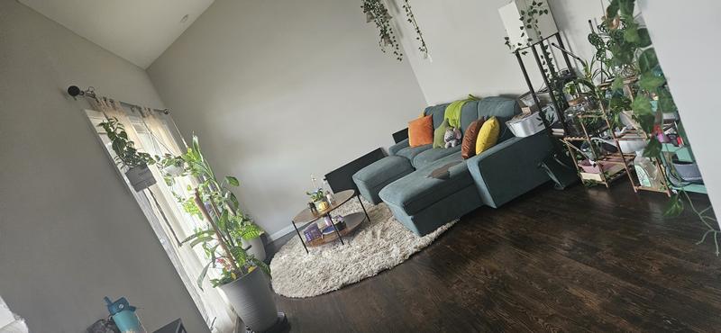 Customer photo for review titled "Oval Living room rug"