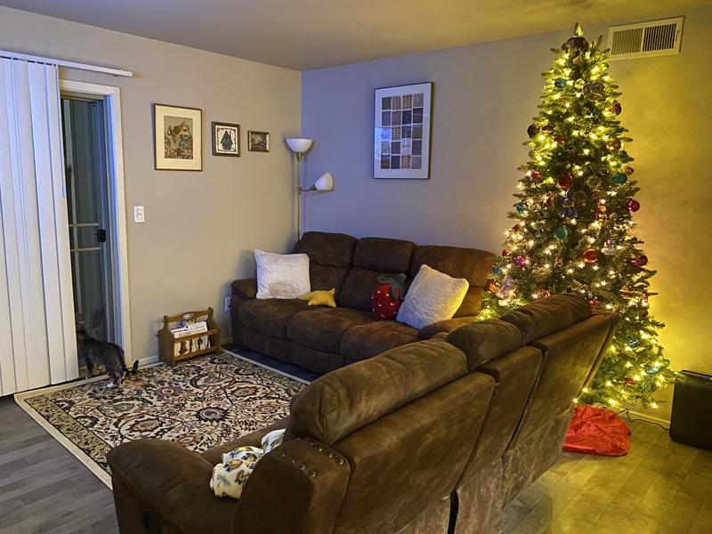 Customer photo for review titled "Great Rug!"