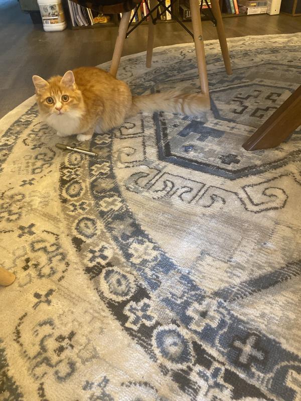 Customer photo for review titled "Perfect size for under my 4' diameter round table"