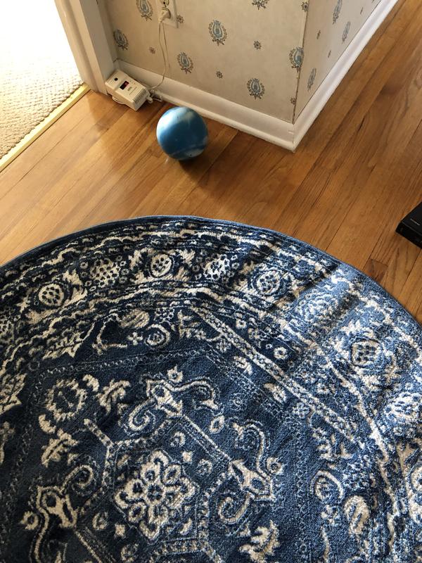 Customer photo for review titled "Nice rug but….."