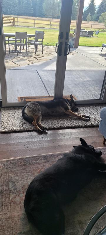 Customer photo for review titled "Lovely but some shedding!"