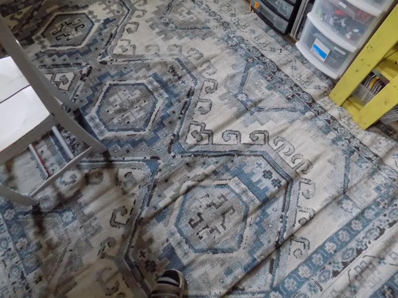 Customer photo for review titled "7 x 10 Charlotte Rug"