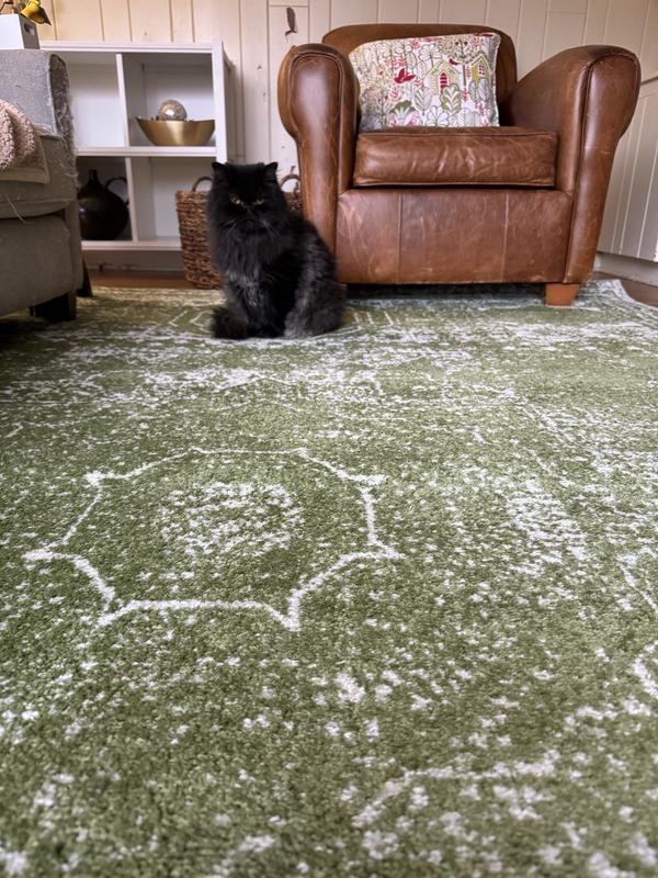 Customer photo for review titled "Color is perfect nice rug"