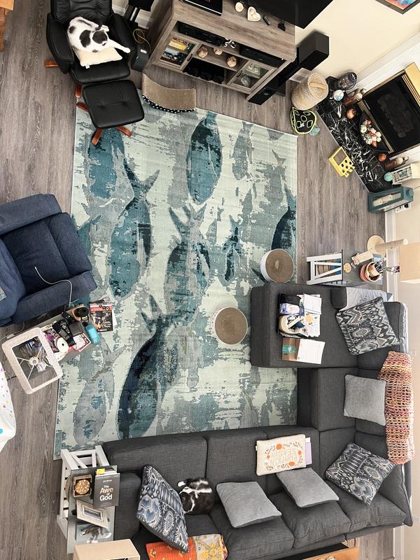Customer photo for review titled "Great rug at a great price"