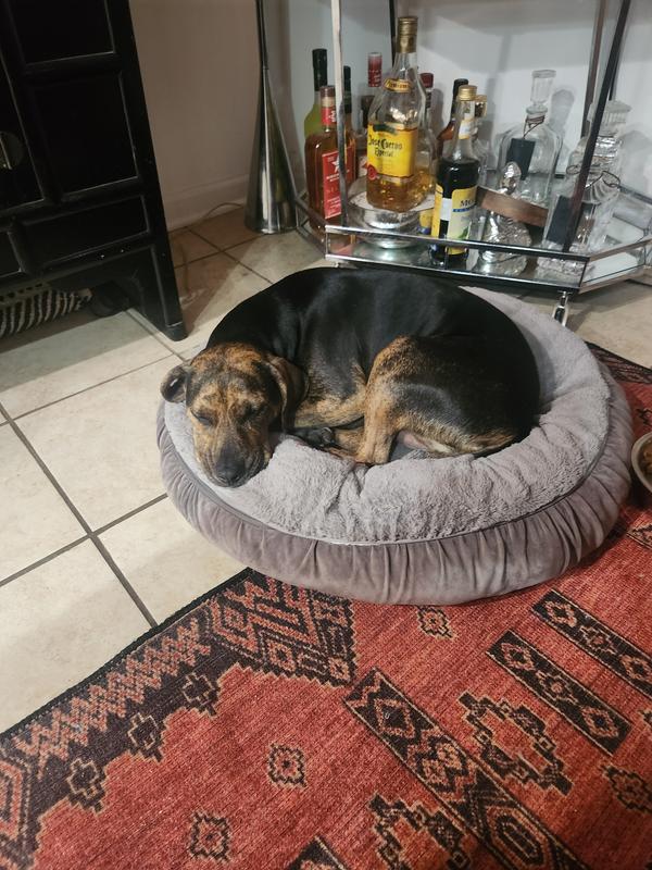 Customer photo for review titled "Absolutely perfect"