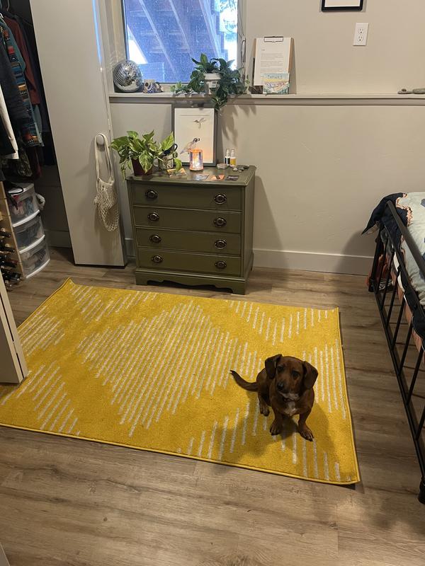 Customer photo for review titled "Preventative ‘seasonal affective disorder’ rug :)"
