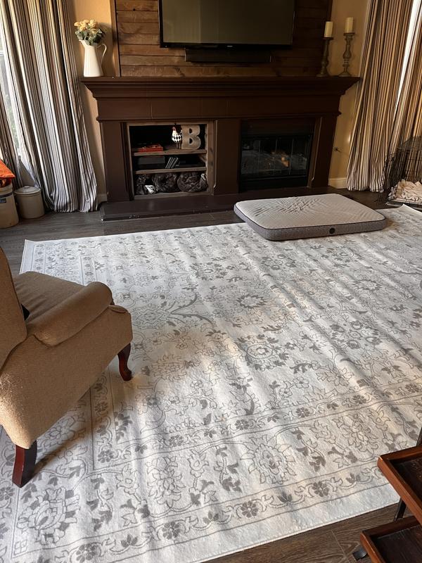 Customer photo for review titled "10' x 13' Charlotte Rug"