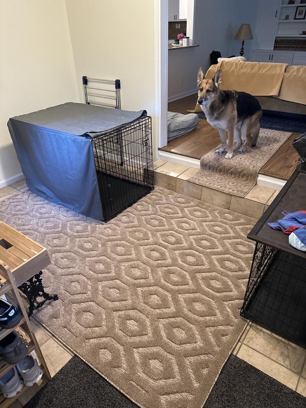 Customer photo for review titled "Great purchase!"