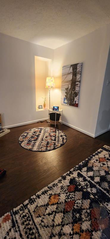 Customer photo for review titled "Great little rug!"