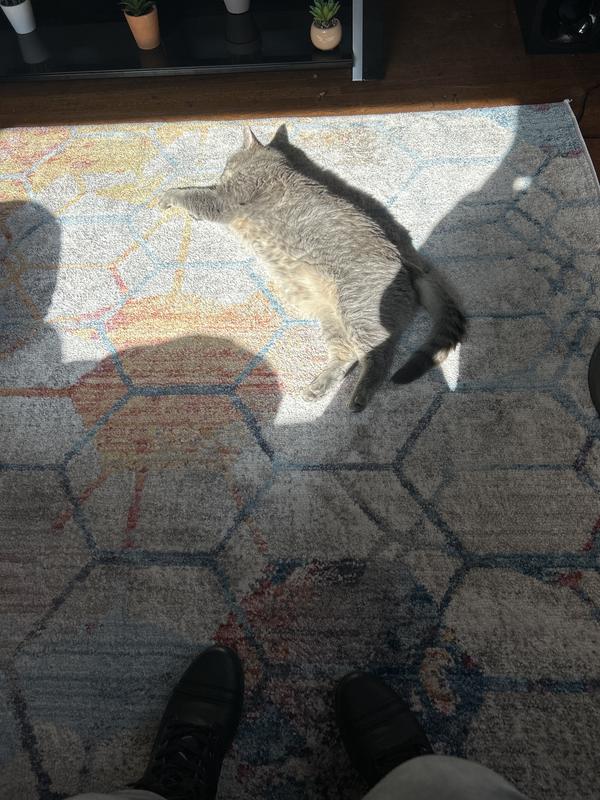 Customer photo for review titled "Worth double the price!"