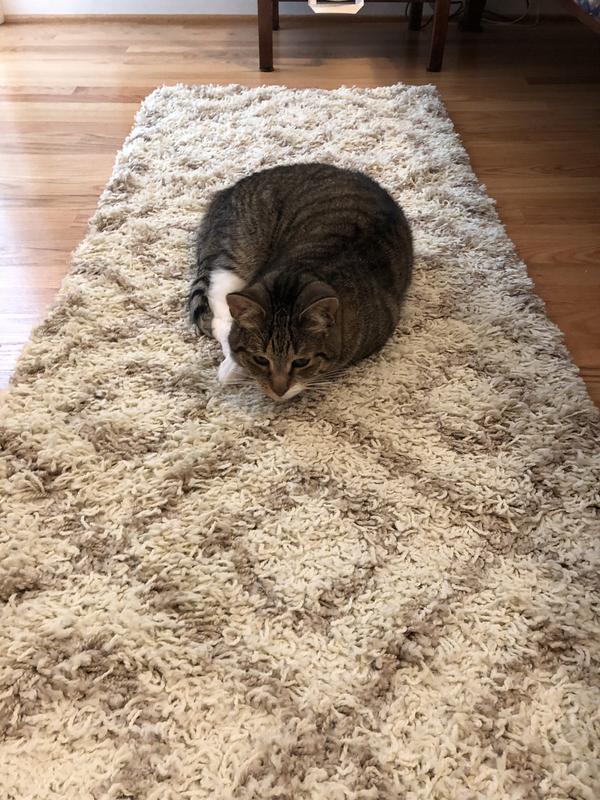 Customer photo for review titled "Nice and stylish runner."