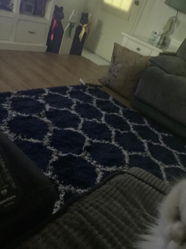 Customer photo for review titled "Great dealer!"