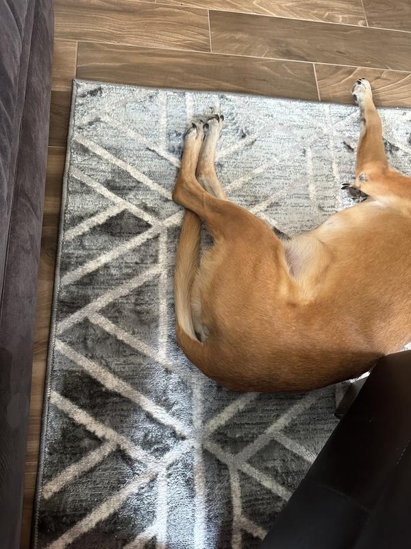 Customer photo for review titled "Very shiny and color varies"