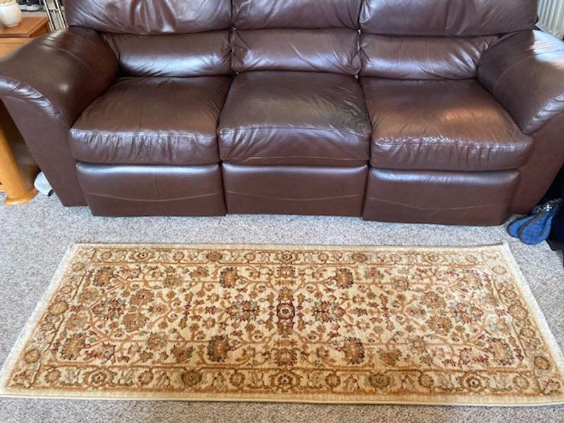 Customer photo for review titled "Rug So Nice We Bought it Twice!"