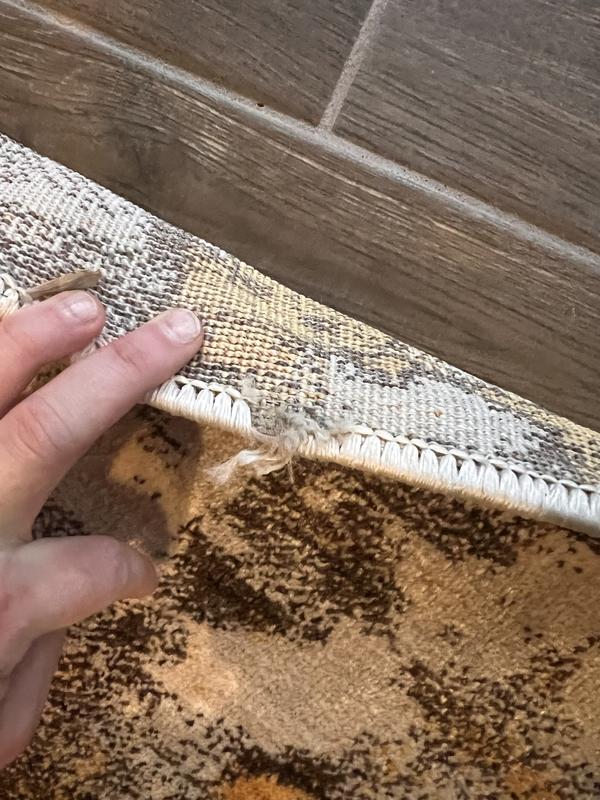 Customer photo for review titled "Disappointed Came Damaged"