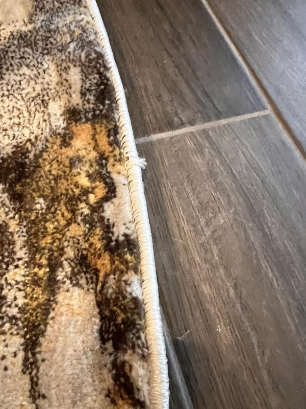 Customer photo for review titled "Disappointed Came Damaged"