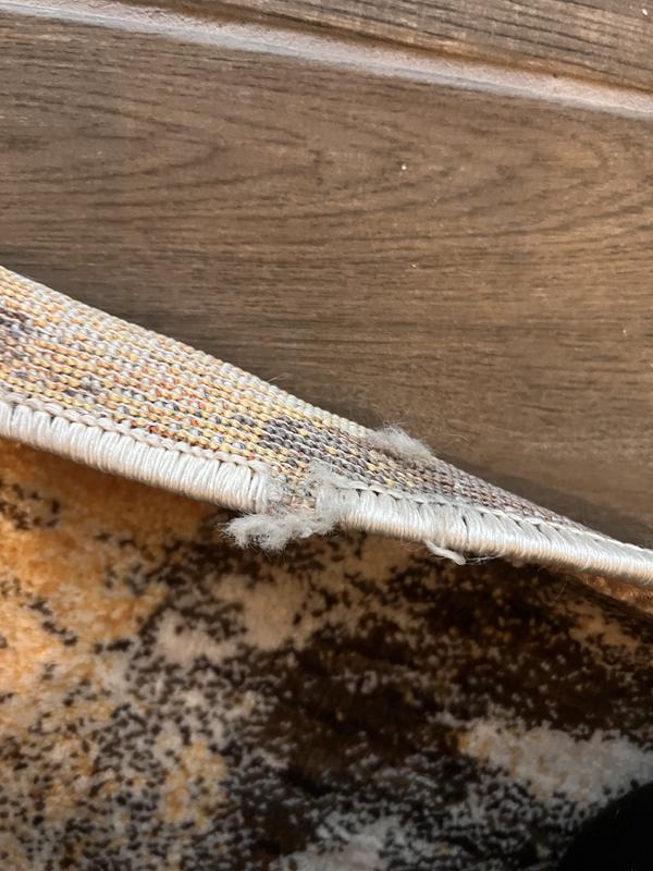 Customer photo for review titled "Disappointed Came Damaged"