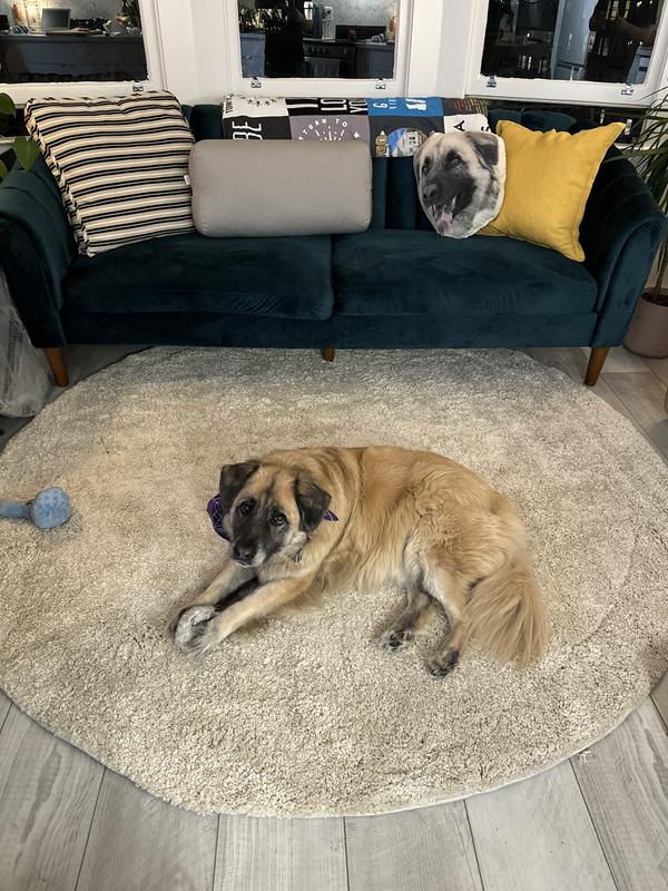 Customer photo for review titled "satisfied!"