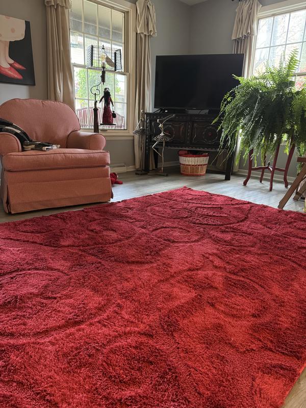 Customer photo for review titled "Red is Red!"