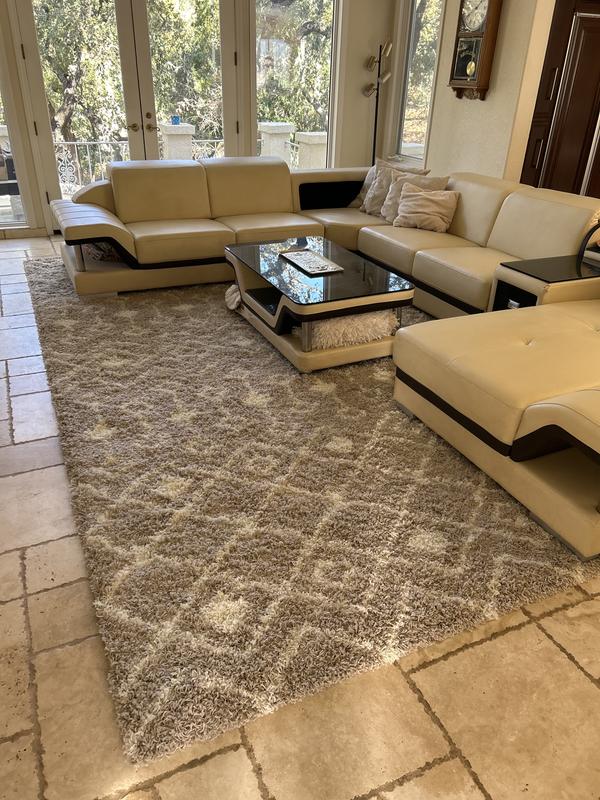 Customer photo for review titled "Wonderful shag large area rug!"