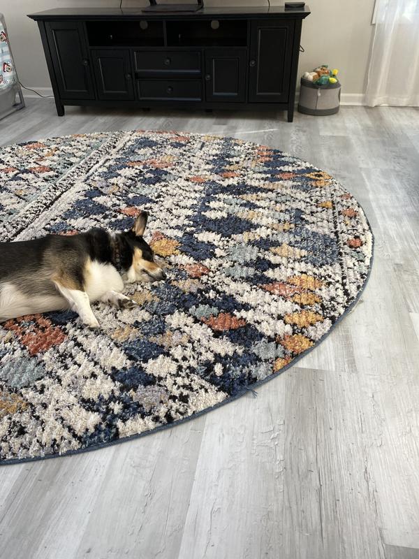 Customer photo for review titled "Fantastic rug!"