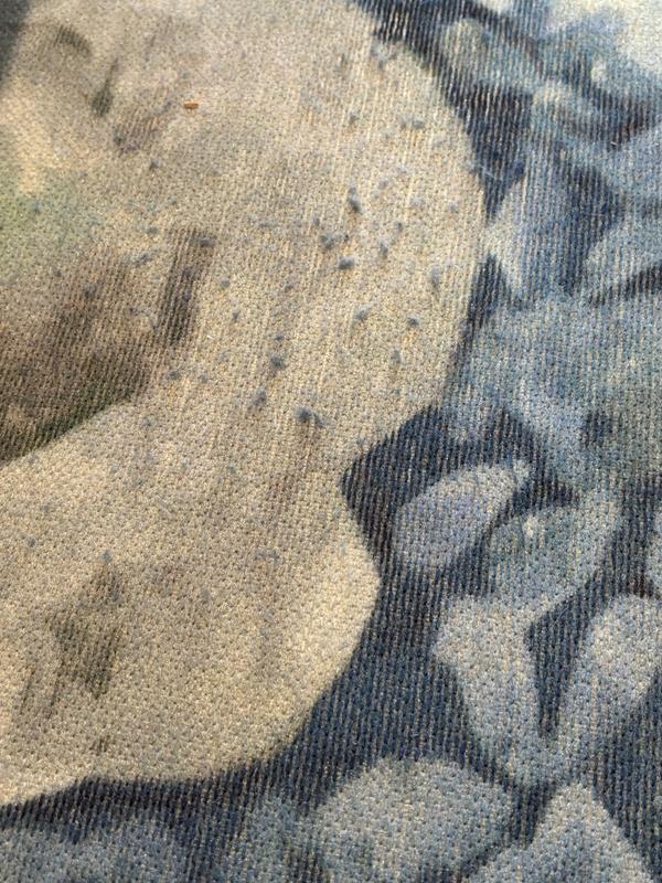 Customer photo for review titled "Doesn’t wear well"