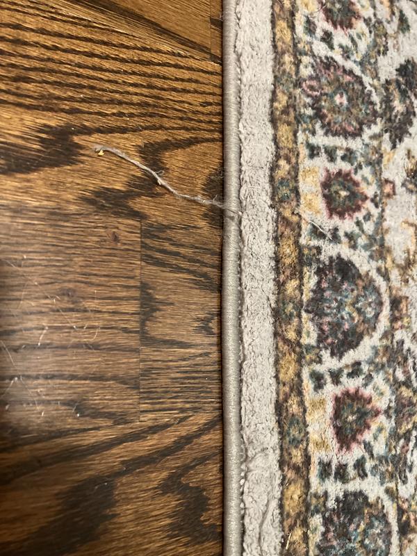 Customer photo for review titled "Not for high traffic areas or dog owners"