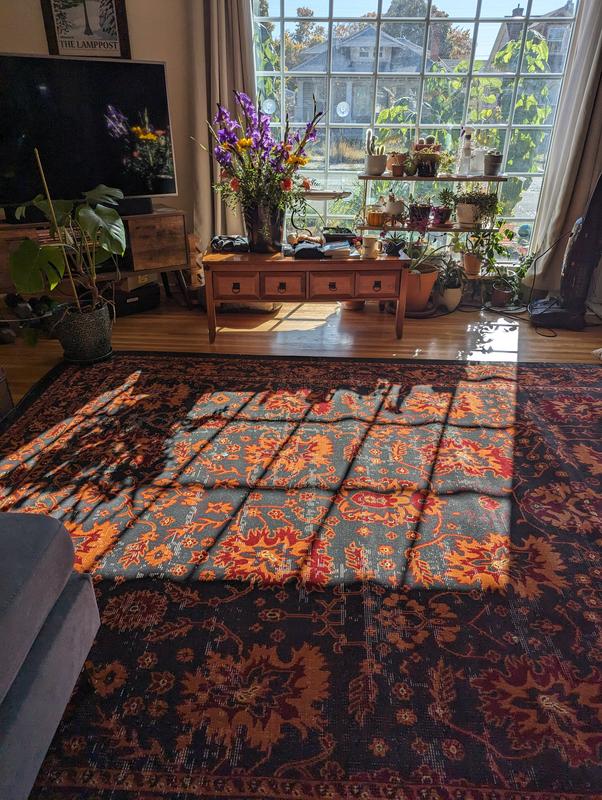 Customer photo for review titled "Lovely colour wish it was more plush"