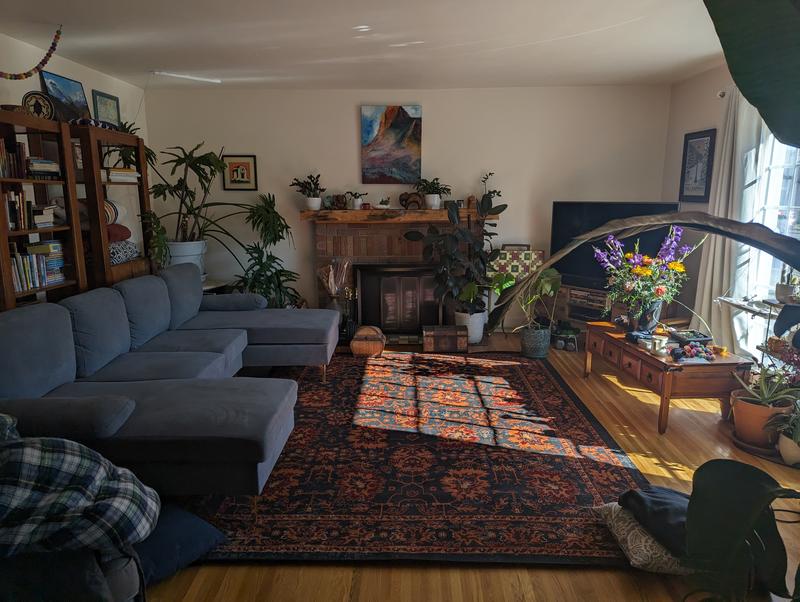 Customer photo for review titled "Lovely colour wish it was more plush"