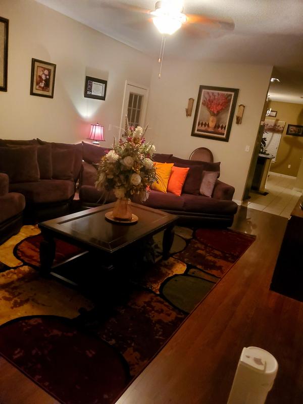 Customer photo for review titled "Great Rug"