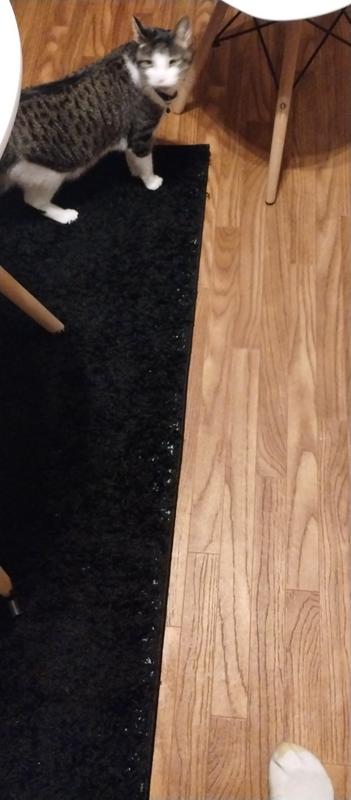 Customer photo for review titled "Nice rug wish it was whole."