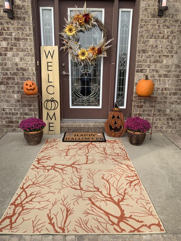 Customer photo for review titled "Amazing Rug for an Amazing Price!"
