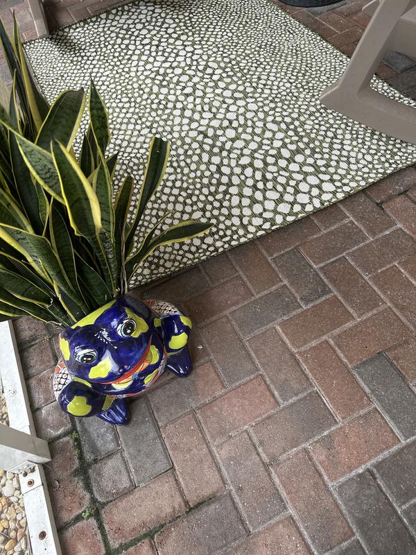 Customer photo for review titled "Beautiful outdoor rug"