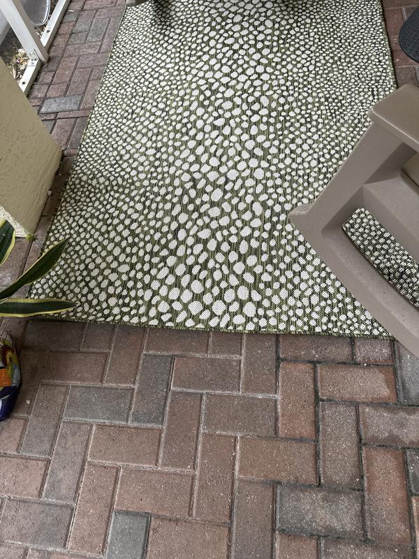 Customer photo for review titled "Beautiful outdoor rug"