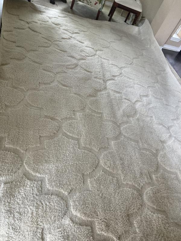 Customer photo for review titled "Super Soft and Exactly What We Wanted"