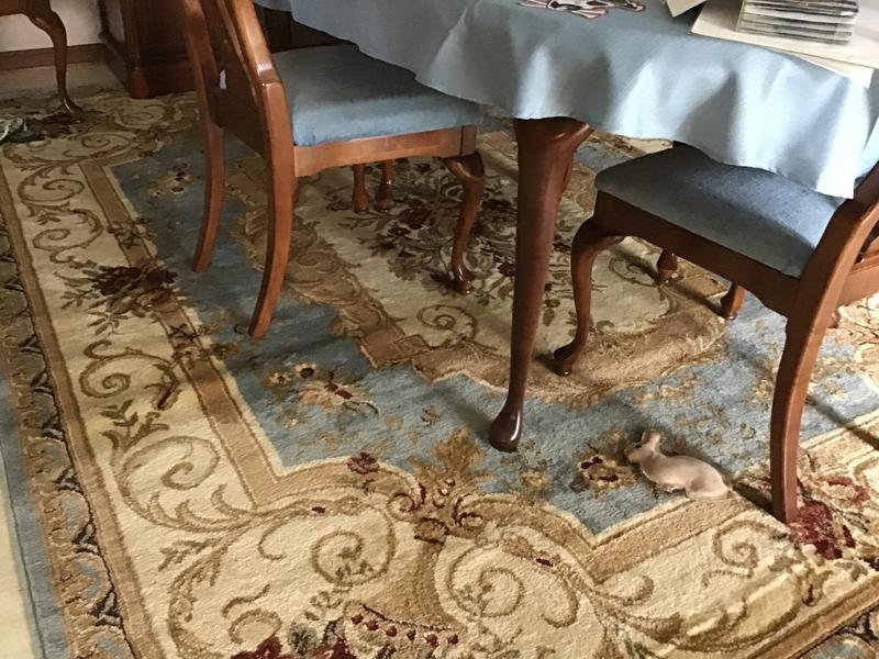 Customer photo for review titled "My new rug"