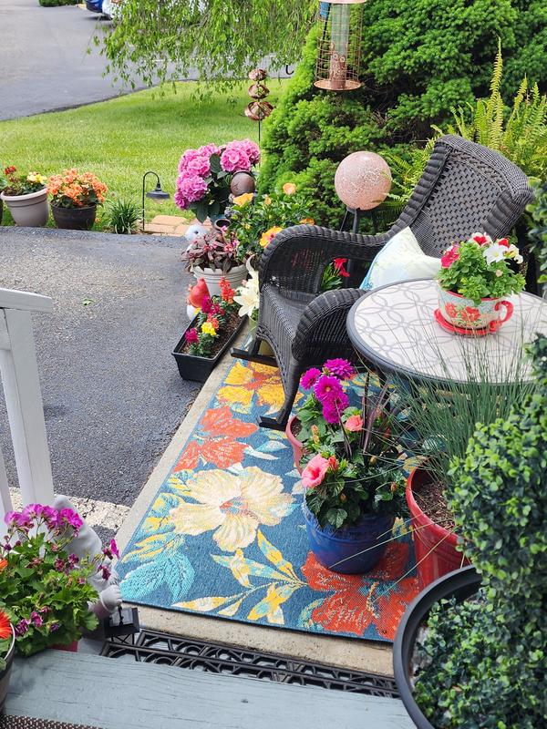 Customer photo for review titled "Love at first sight"